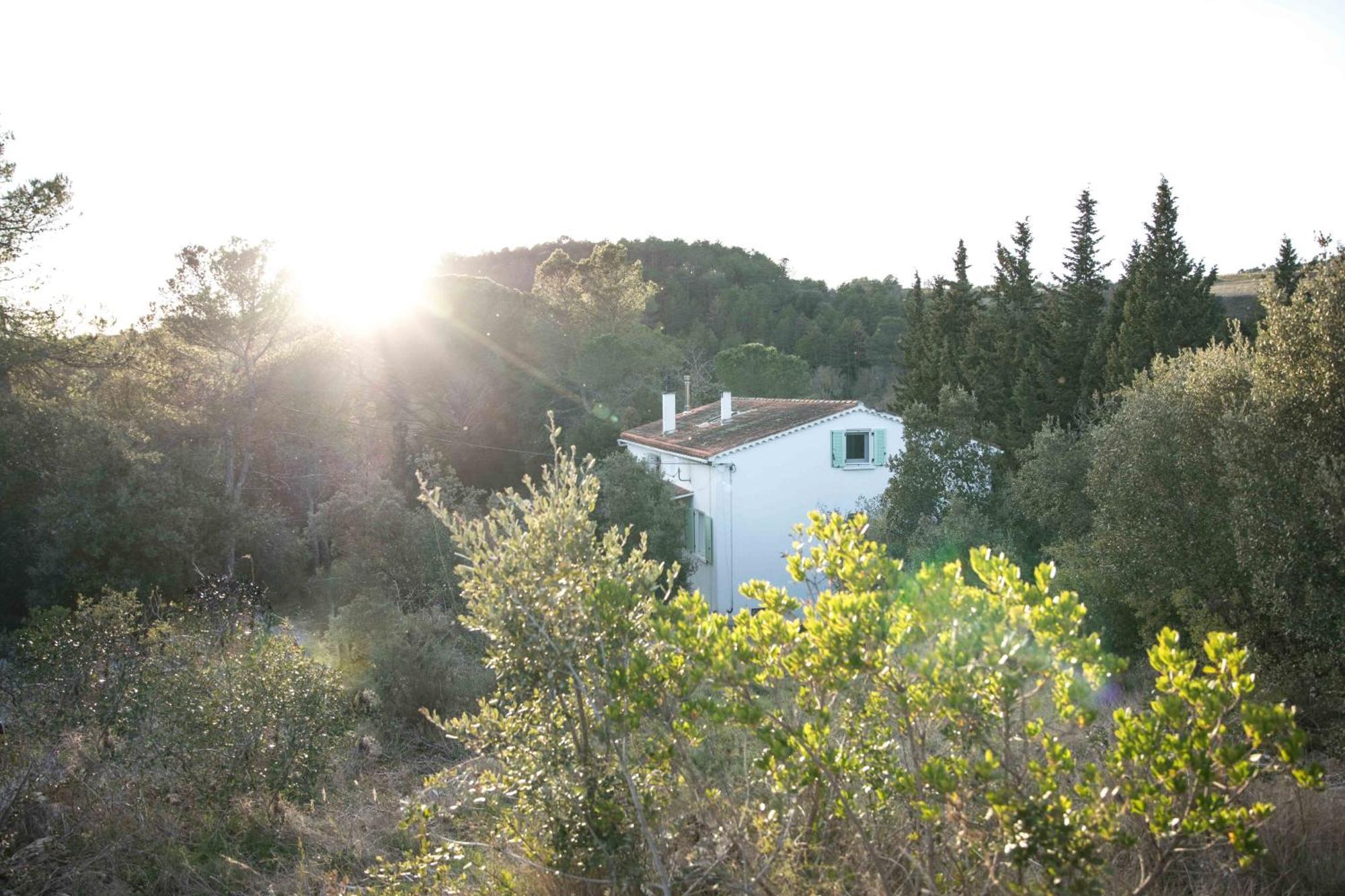 Gite With Private Jacuzzi, Shiatsu & Healthy Food Ladern-sur-Lauquet Exterior foto